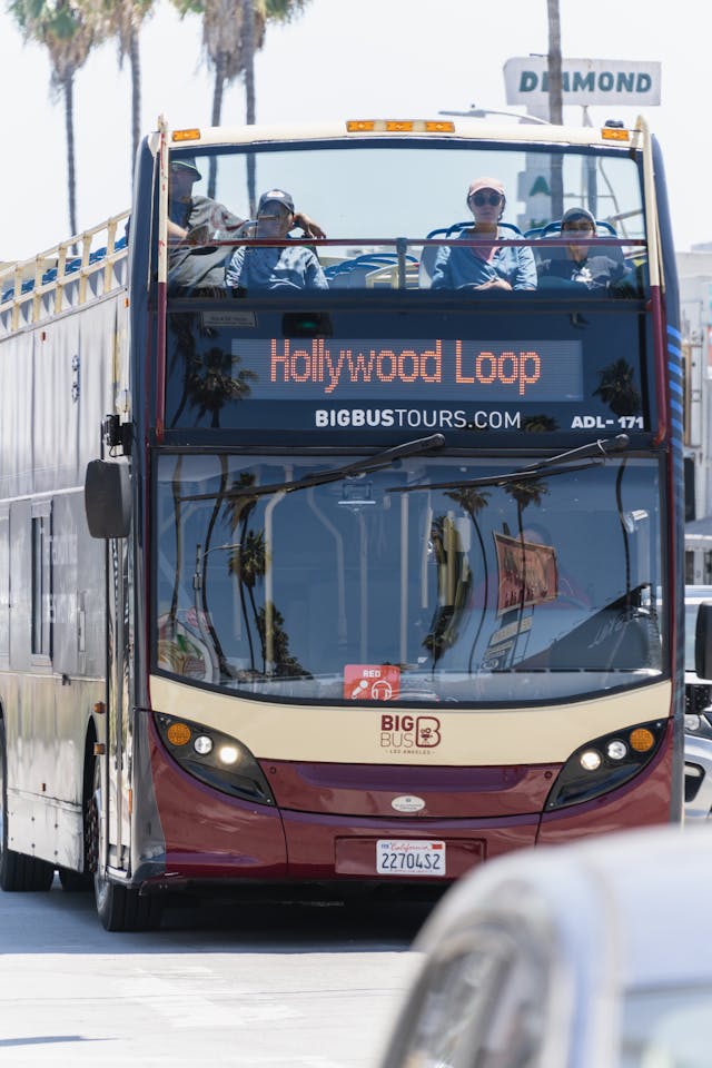 pexels navlakha 32723789