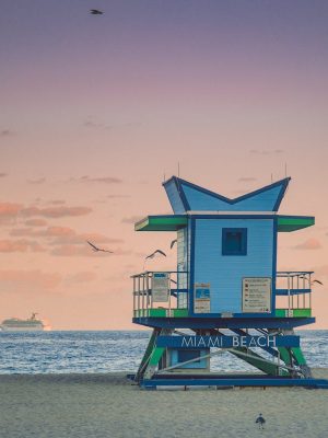 pexels arnie watkins 1337313 3773651