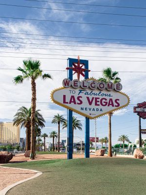 pexels camrainey 2600214