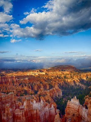 pexels robert anthony carbone 190020 598961